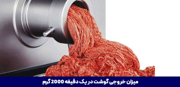چرخ گوشت دلمونتی مدل DL340