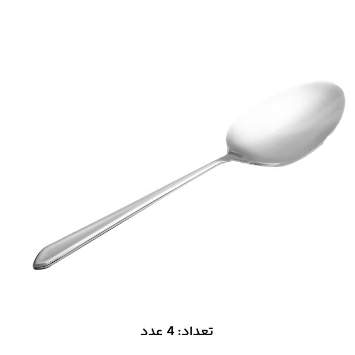 سرویس قاشق چنگال ۱۴۷ پارچه MGS مدل ۱۰۱۴M | استیل ضد زنگ شیک و با دوام