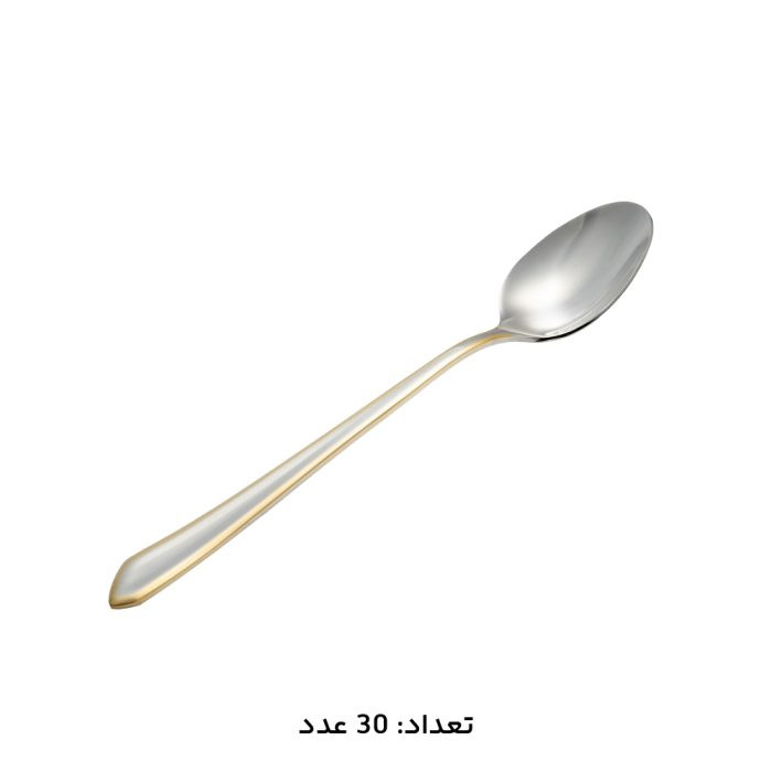 سرویس قاشق چنگال 30 نفره 147 پارچه MGS مدل 1014G