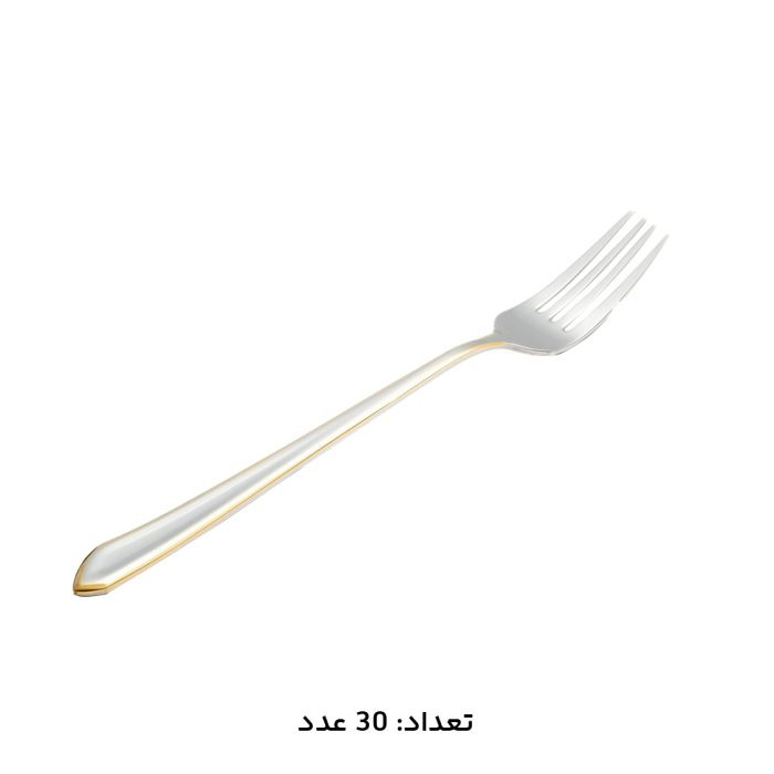 سرویس قاشق چنگال 30 نفره 147 پارچه MGS مدل 1014G