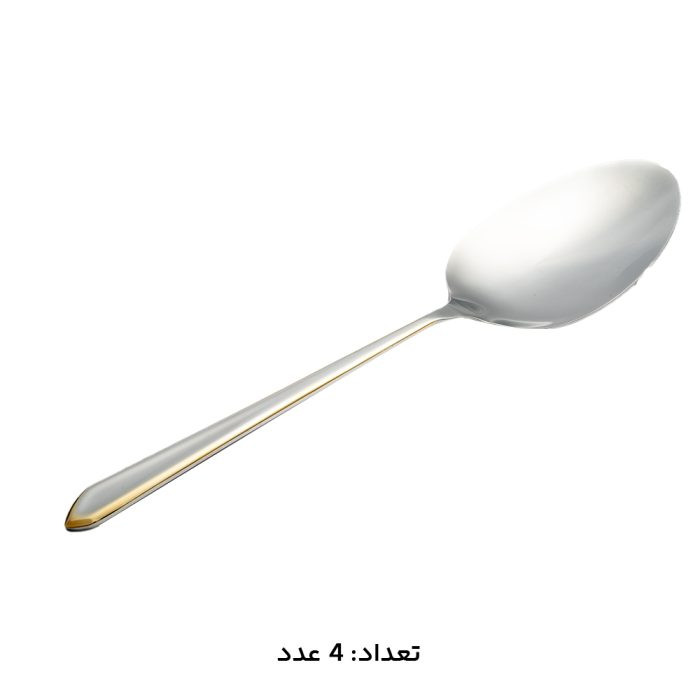 سرویس قاشق چنگال 30 نفره 147 پارچه MGS مدل 1014G