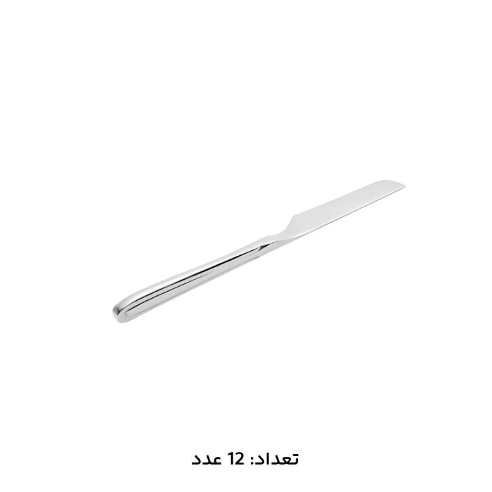 سرویس قاشق چنگال 30 نفره 147 پارچه MGS مدل 1016S