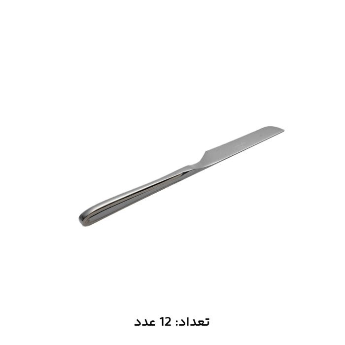 سرویس قاشق چنگال 30 نفره 147 پارچه MGS مدل 1016S