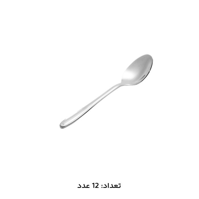 سرویس قاشق چنگال 30 نفره 147 پارچه MGS مدل 1016S