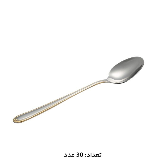 سرویس قاشق چنگال 30 نفره 147 پارچه MGS مدل 1016G