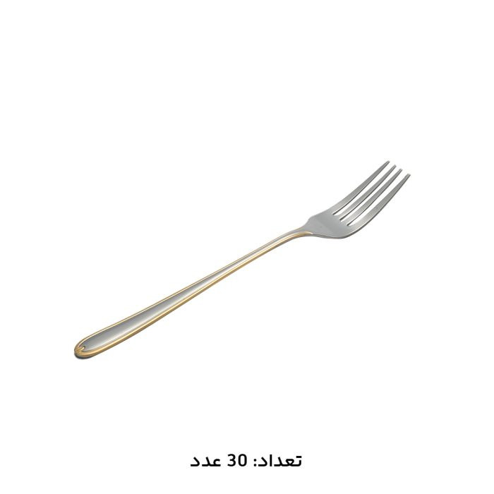 سرویس قاشق چنگال 30 نفره 147 پارچه MGS مدل 1016G